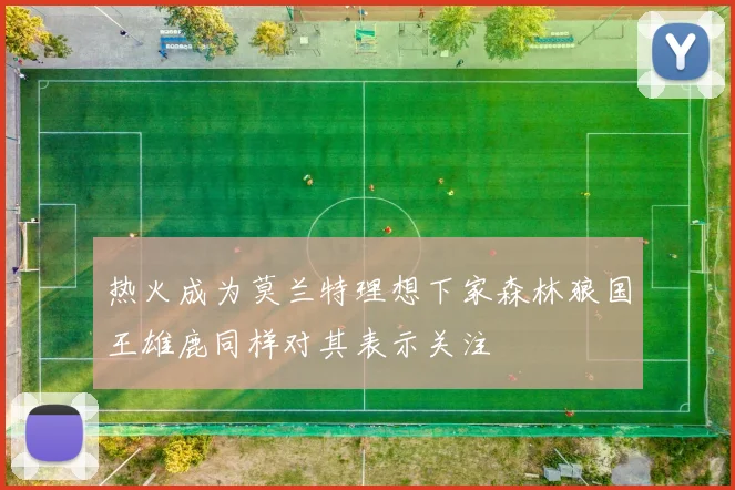 热火成为莫兰特理想下家森林狼国王雄鹿同样对其表示关注