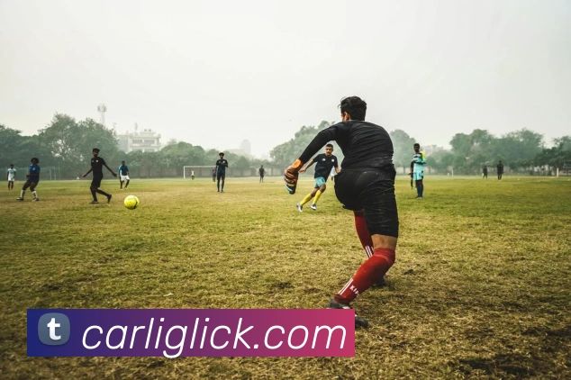 华体会网站入口全站App